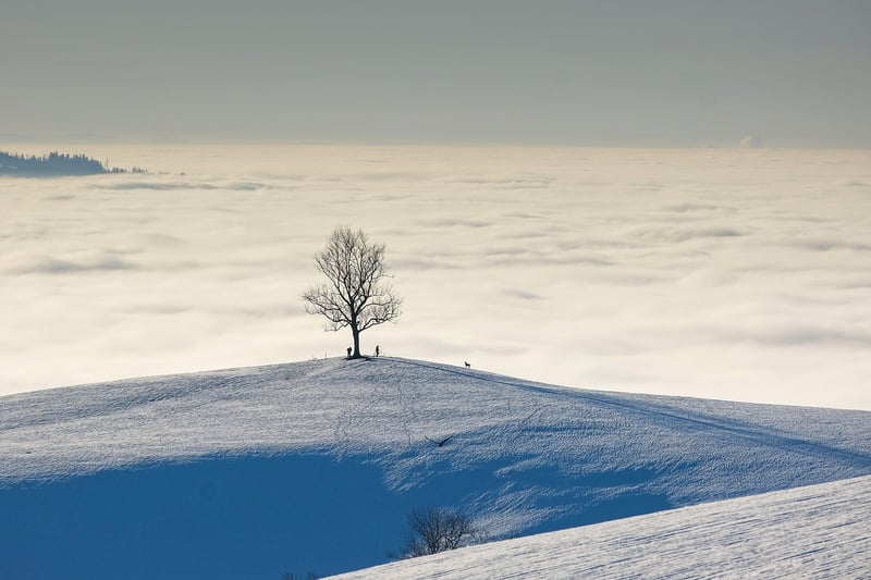 Parallel Realities Image